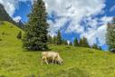 Sommer2021-17-min Sommer2021-17-min