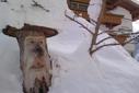 Winter Winter