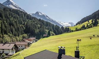 A beautiful view of green meadows and snow-covered mountains. The sun shines over a picturesque village.