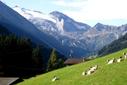 Blick Gletscher Blick Gletscher