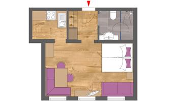 A clear floor plan of an apartment. The layout shows a living room, a bedroom, a bathroom, and a kitchen.