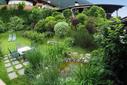 Teich im Garten Teich im Garten