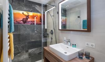 A modern bathroom with an elegant shower and a stylish sink. On the wall, there is a picture of a deer in front of a sunset landscape.