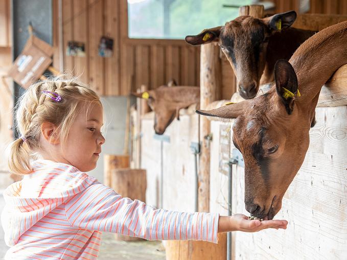 Schau-Bauernhof der Erlebnissennerei Zillertal