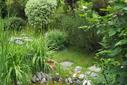 Teich im Garten Teich im Garten