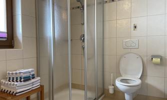 A modern bathroom with a shower cabin and a toilet. Fresh towels are ready on a wooden shelf.